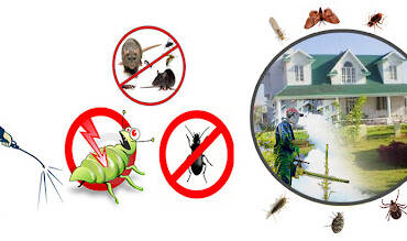 Pest Control Services in Cedarhurst