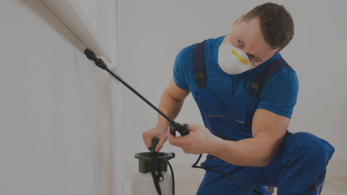 Pest Control Services in Long Beach