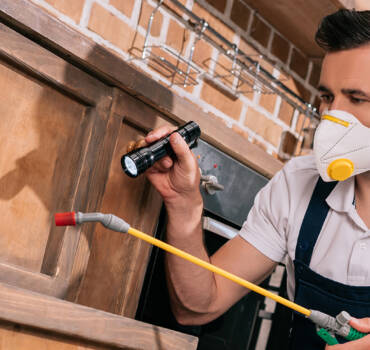 Pest Control Services in Oceanside